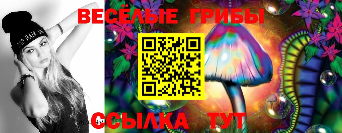 Свободный  Псилоцибиновые грибы мухоморы  Вход с VPN 